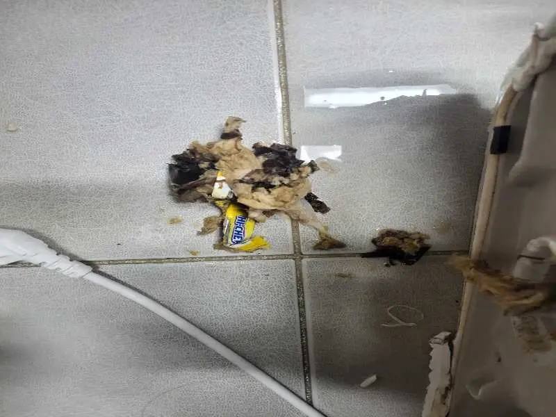 은평구 배관 이물질 제거 사례